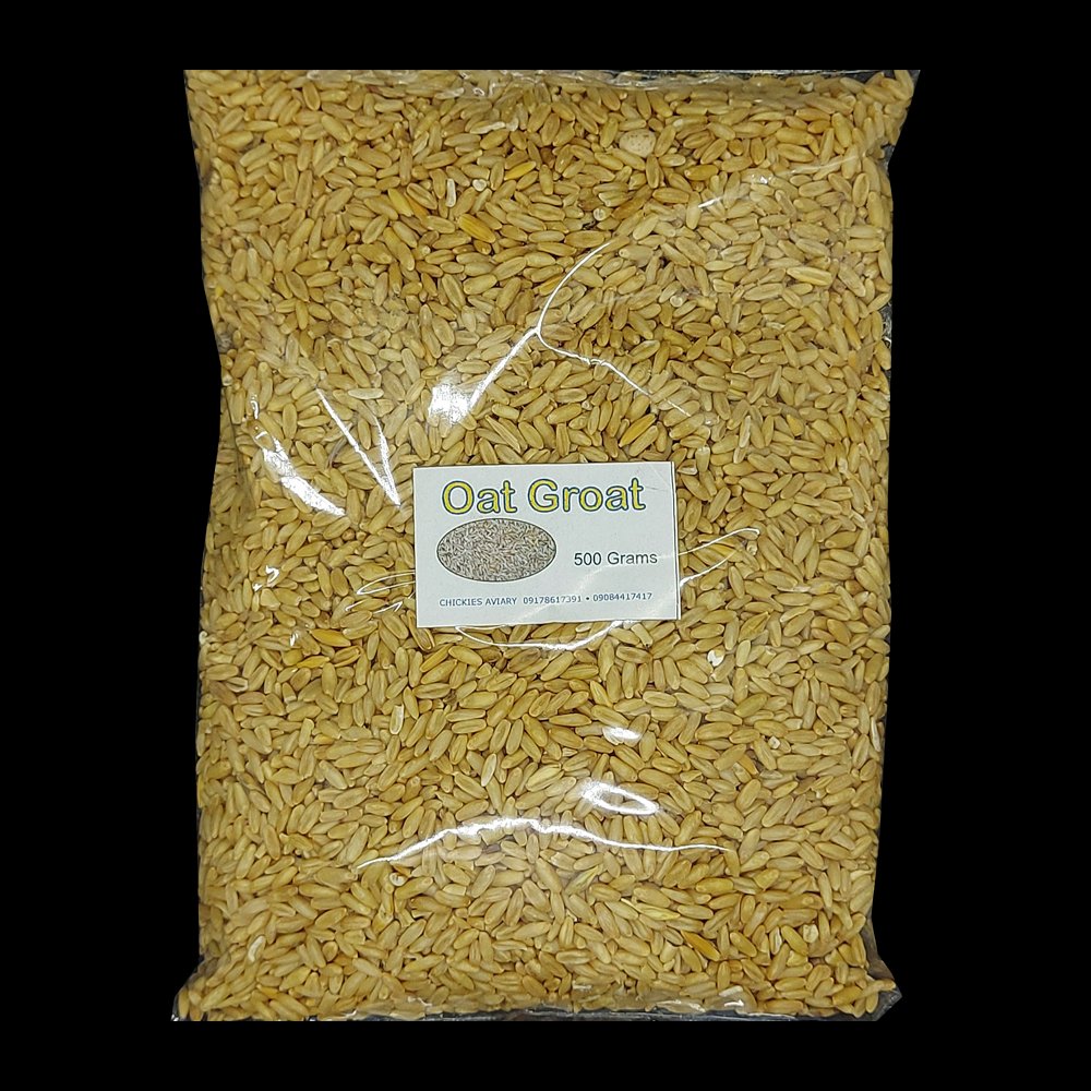 Oat Groats for Birds (500 grams) – Magnifica